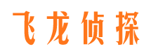 静乐市侦探公司